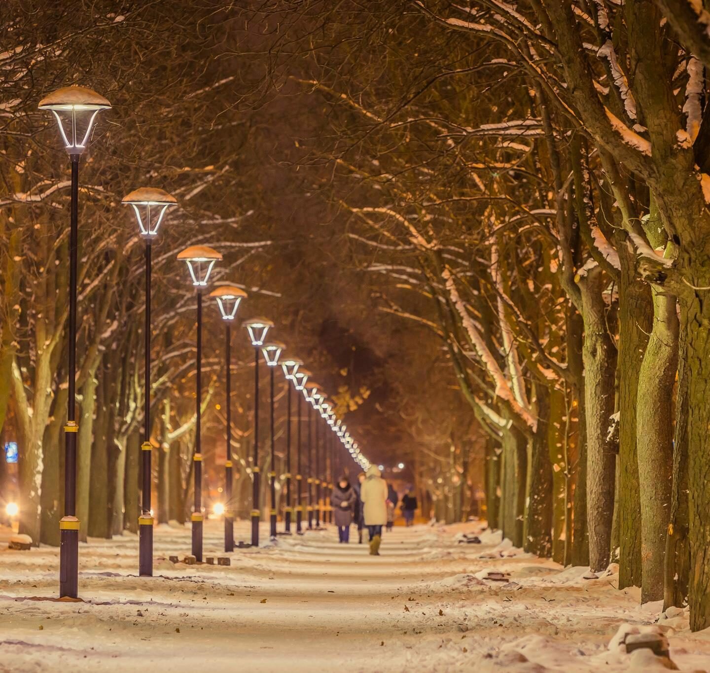 Олександрійський бульвар